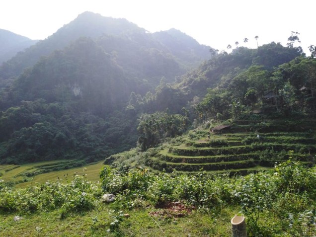 defdee0d-9795-40ee-b5f1-be36831d389d