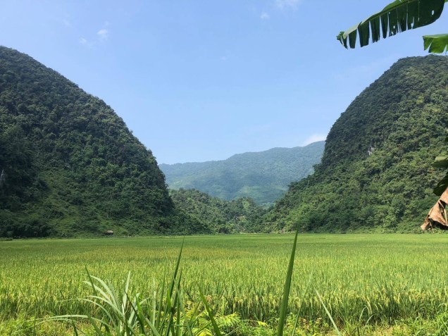 f9409a7a-9321-4c7c-b157-11a29430f358